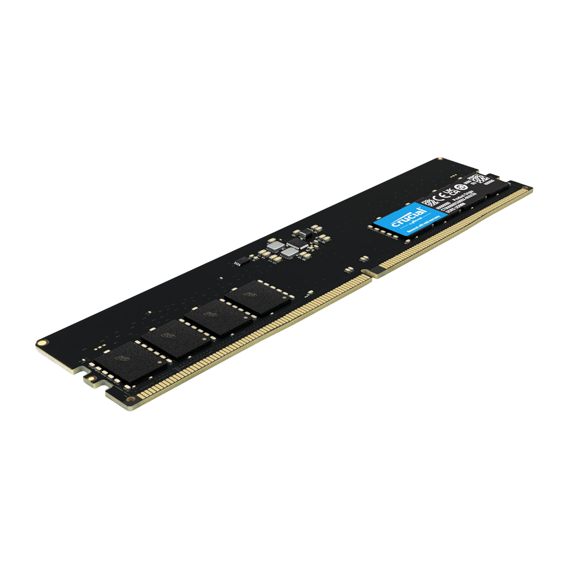 Crucial 16GB 5600MHz DDR5 Desktop Memory – Turbo Tortoise Tech