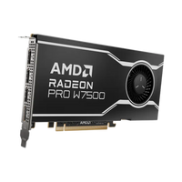 AMD Radeon Pro W7500 8GB GDDR6 Graphics Card