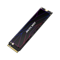 Hiksemi Future Lite 512GB M.2 NVMe Solid State Drive